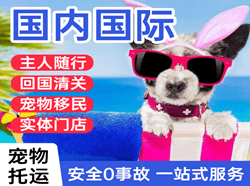 乌兰察布航空邮寄国际宠物托运 【国